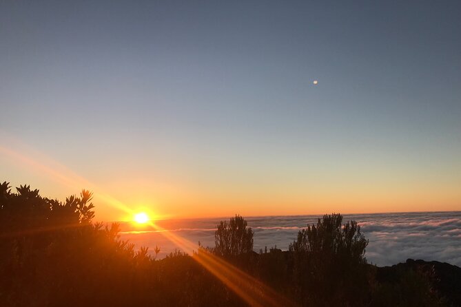 Fanal Forest Private Sunset Hike - The walk: about 7 km and mostly flat