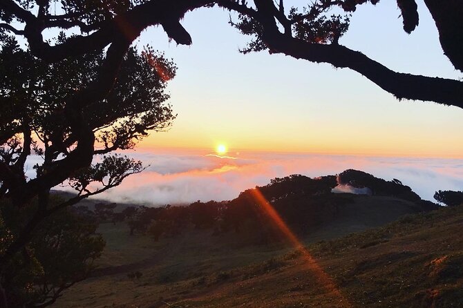 Fanal Forest Private Sunset Hike - Sunset, mist, and the weather question
