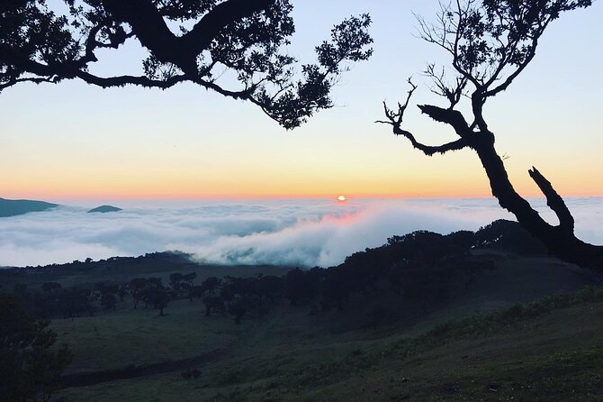 Fanal Forest Private Sunset Hike - How much value do you get for $90.11?