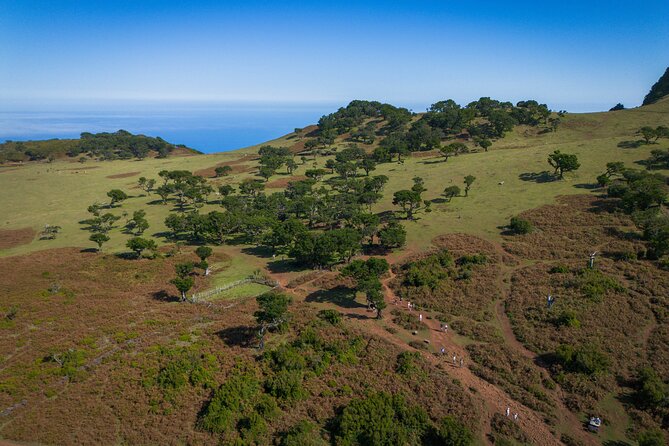Fanal & Porto Moniz - West Madeira Tour - Porto Moniz: two hours for pools, food, and sea views