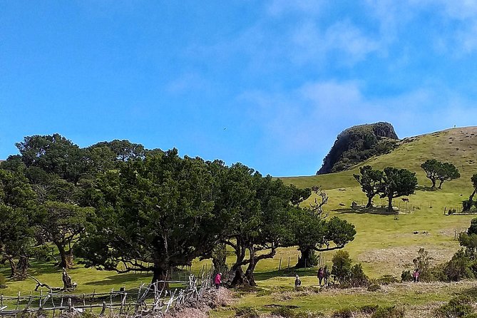 Fascinated Landscapes Northwest 4x4 excursion - Fanal: a cooler, moodier stop