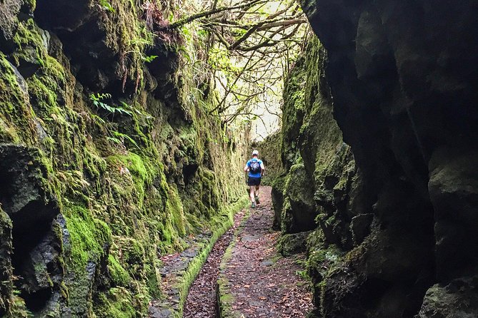 Folhadal Hidden Treasures Running Tour (Moderate) - Why this route feels different from a normal Funchal tour