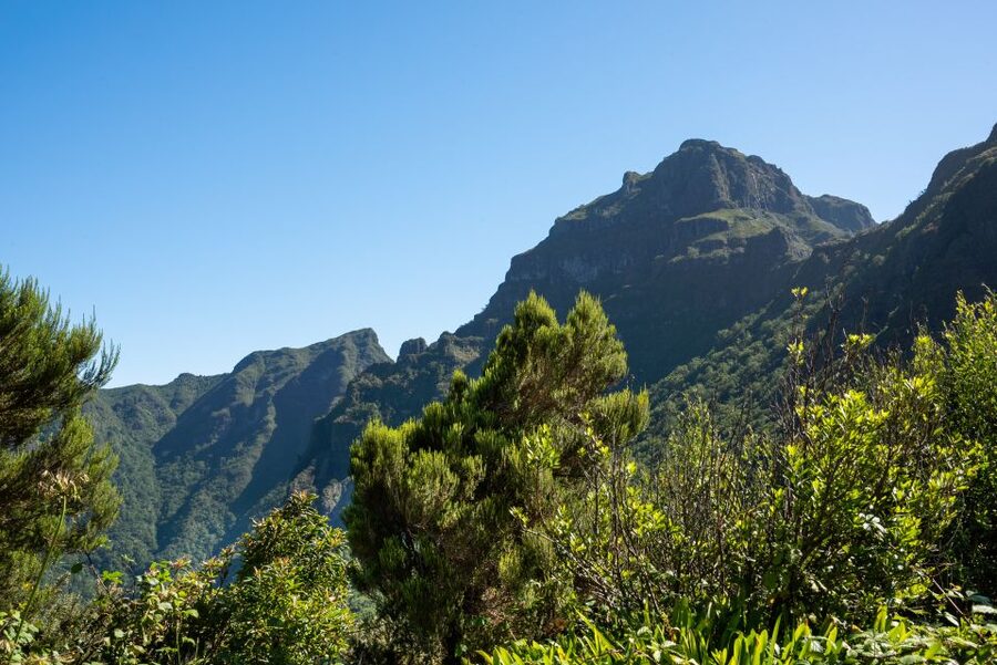 From Funchal: Best of Madeira's West Tour - Porto Moniz gives you the best break