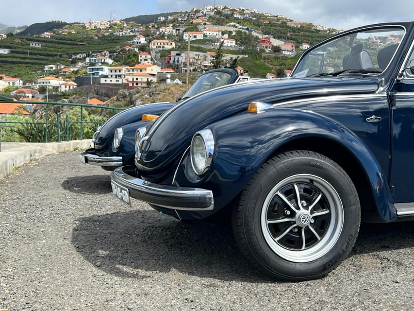 From Funchal: Cabo Girão & Poncha Tasting by Classic VW - Is $88 per person good value?