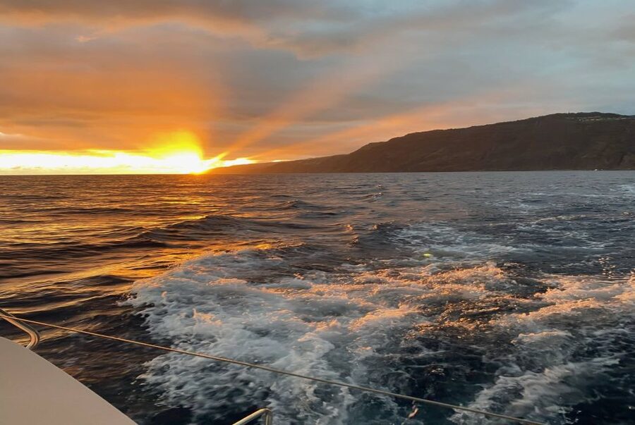 From Funchal: Cabo Girao Sunset Cruise on Luxury Catamaran - What the snorkeling stop adds
