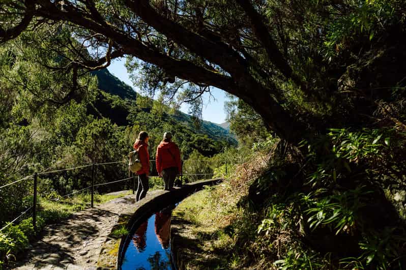 From Funchal/Caniço: Rabaçal Hike (25 Fontes) Bus Transfer - Key points before you book