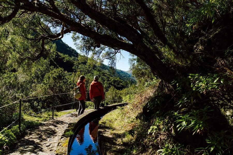 From Funchal/Caniço: Rabaçal Hike (25 Fontes) Bus Transfer - Who should book this and who should skip it