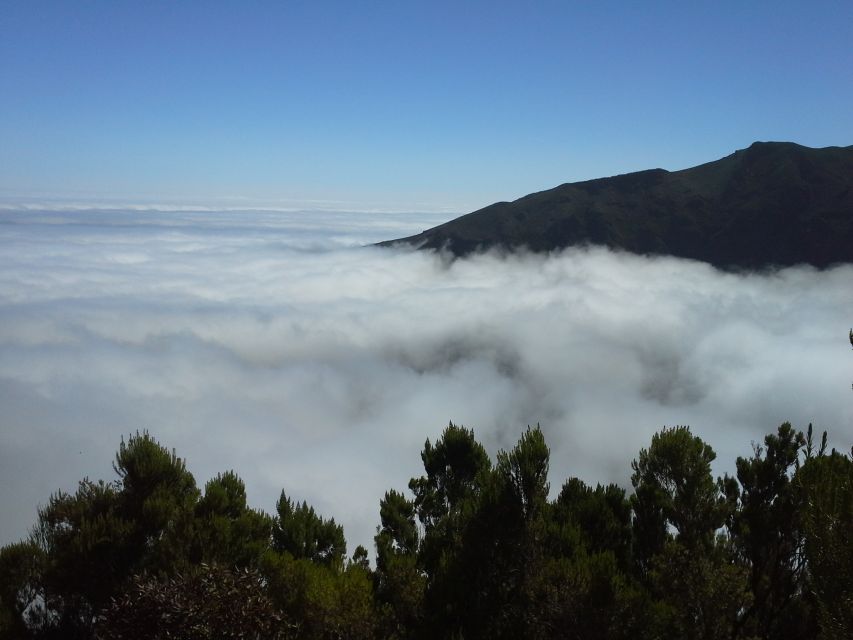 From Funchal: East Tour Madeira 4x4 Jipe Tour Santana Houses - What the guides add to the day