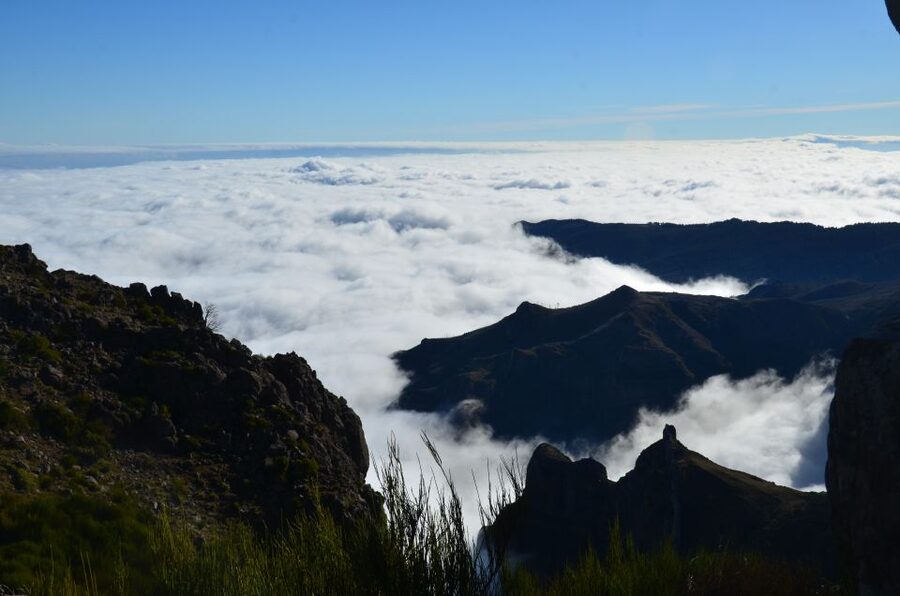 From Funchal: East Tour Madeira 4x4 Jipe Tour Santana Houses - Ribeiro Frio and a 45-minute walk