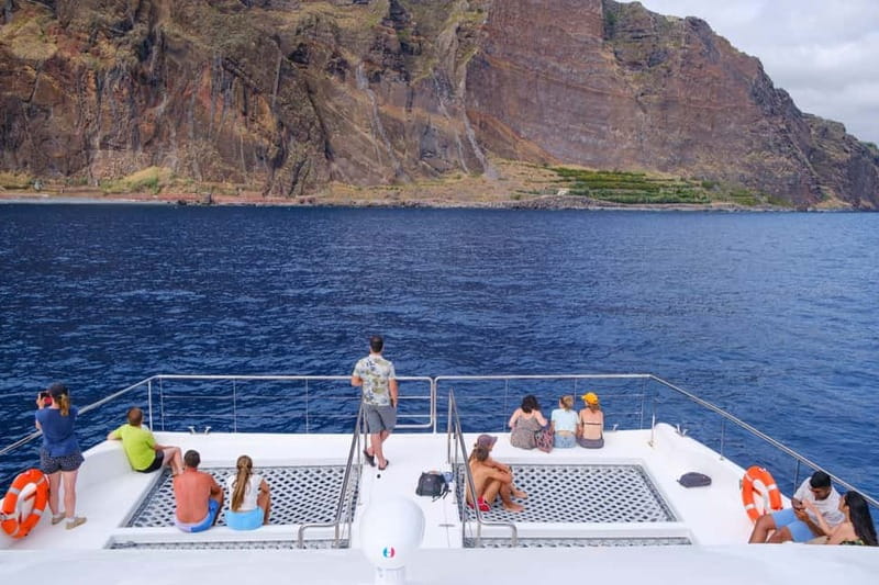 From Funchal: Ecological Catamaran Dolphin Whale Watching - Key points to know before you book