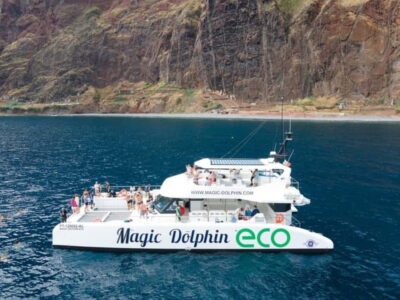 Ecological Catamaran Dolphin Whale Watching