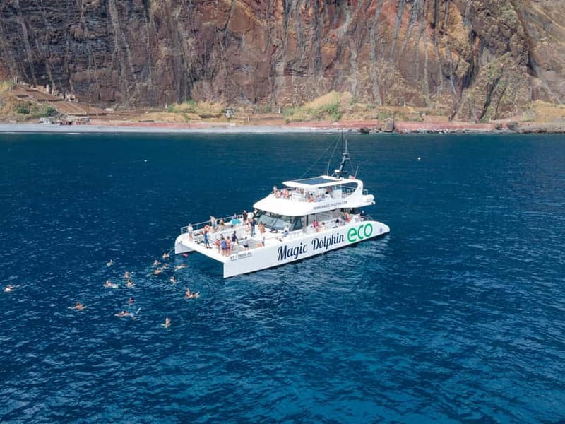 From Funchal: Ecological Catamaran Dolphin Whale Watching - How much of the trip is spent looking?
