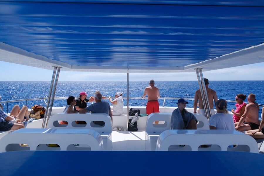 From Funchal: Ecological Catamaran Dolphin Whale Watching - Who will enjoy this cruise most?