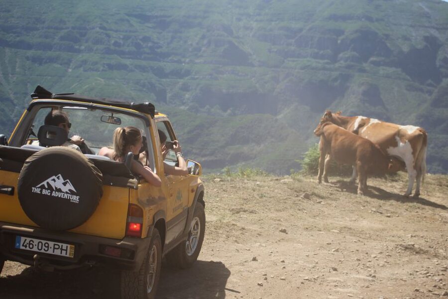 From Funchal: Guided Tour of Madeira Mountains in a Jeep - Who will enjoy this, and who should choose something gentler