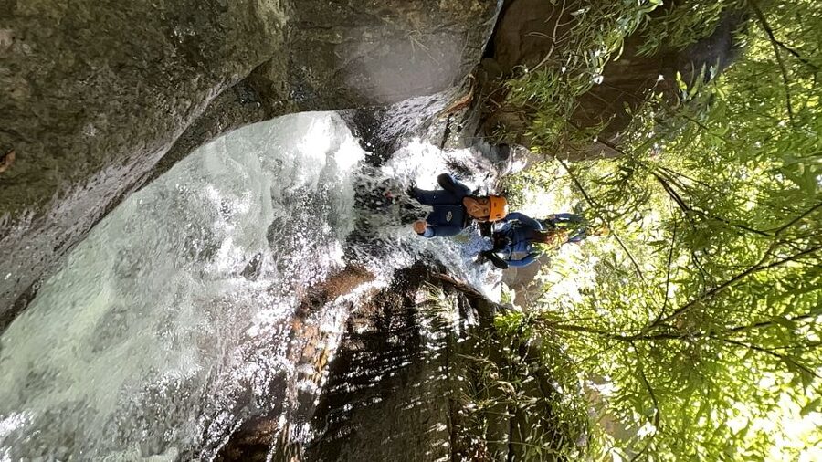 From Funchal: Intermediate Canyoning Adventure (Level 2) - Is $94 Good Value?