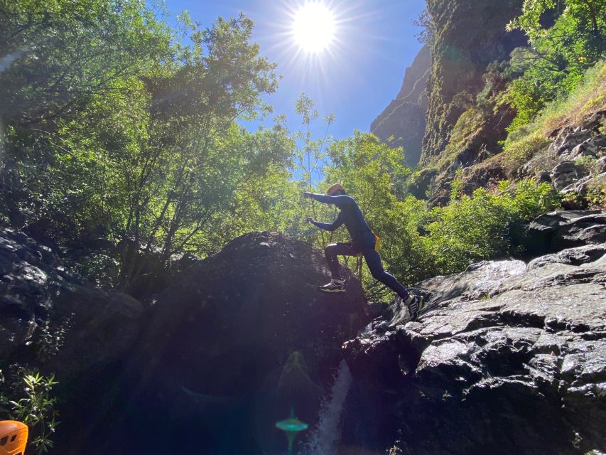 From Funchal: Intermediate Canyoning Adventure (Level 2) - Two and a Half Hours in Madeira’s Watercourses