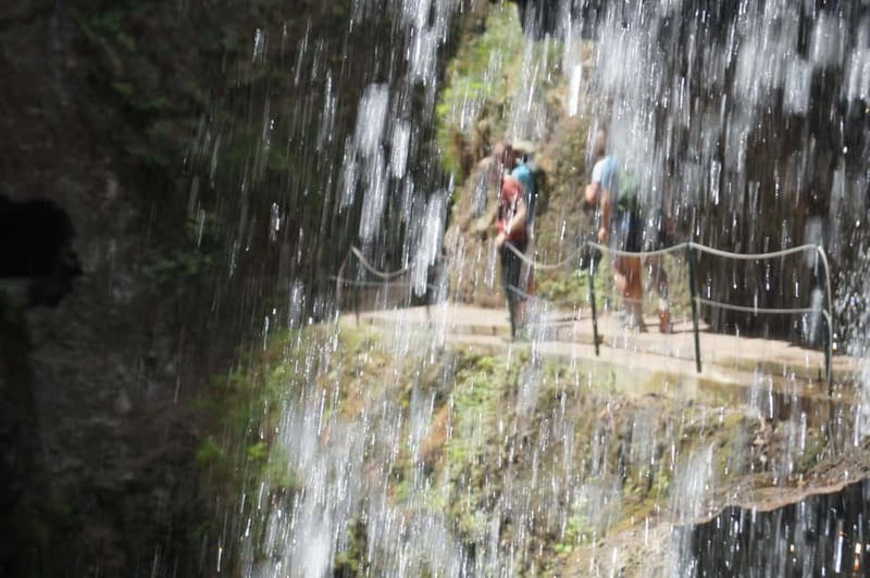 From Funchal: Levada Nova Hiking Tour with stopover at beach - Value, timing, and what you actually receive