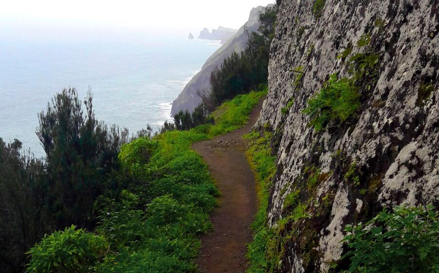From Funchal: Machico to Porto da Cruz Larano Cliff Hike - Key points to know before booking
