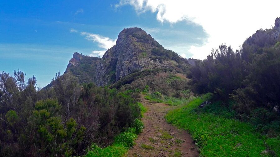 From Funchal: Machico to Porto da Cruz Larano Cliff Hike - The Larano Cliff route and its changing views