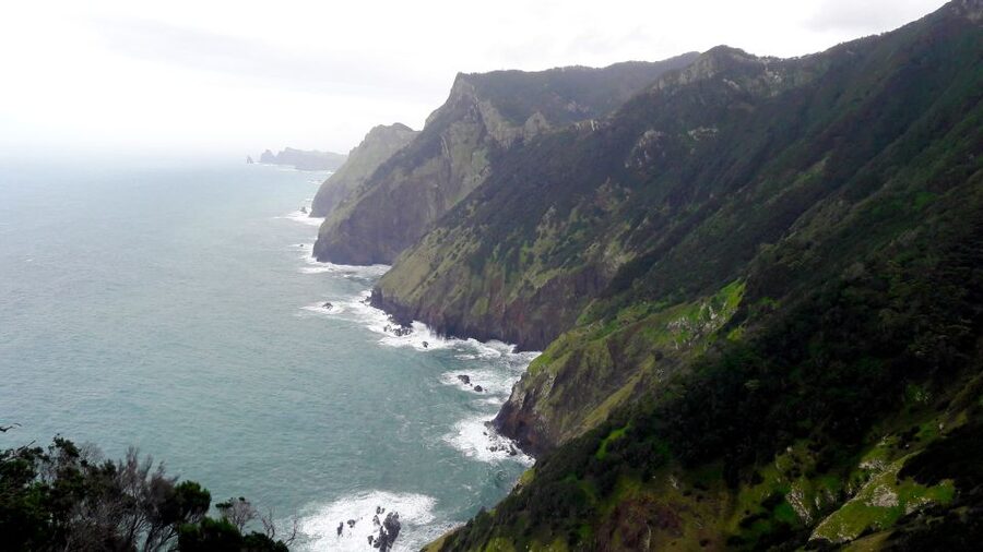 From Funchal: Machico to Porto da Cruz Larano Cliff Hike - Is $50 good value?