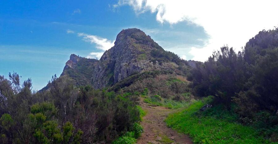From Funchal: Machico to Porto da Cruz Larano Cliff Hike - Machico’s farms and the first climb