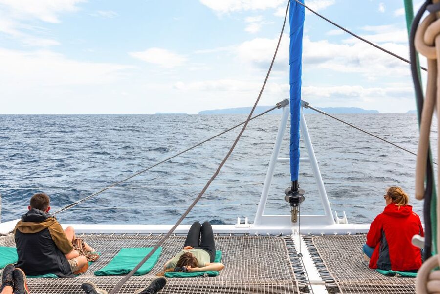 From Funchal: Madeira Dolphin and Whale Watching Tour - FAQ