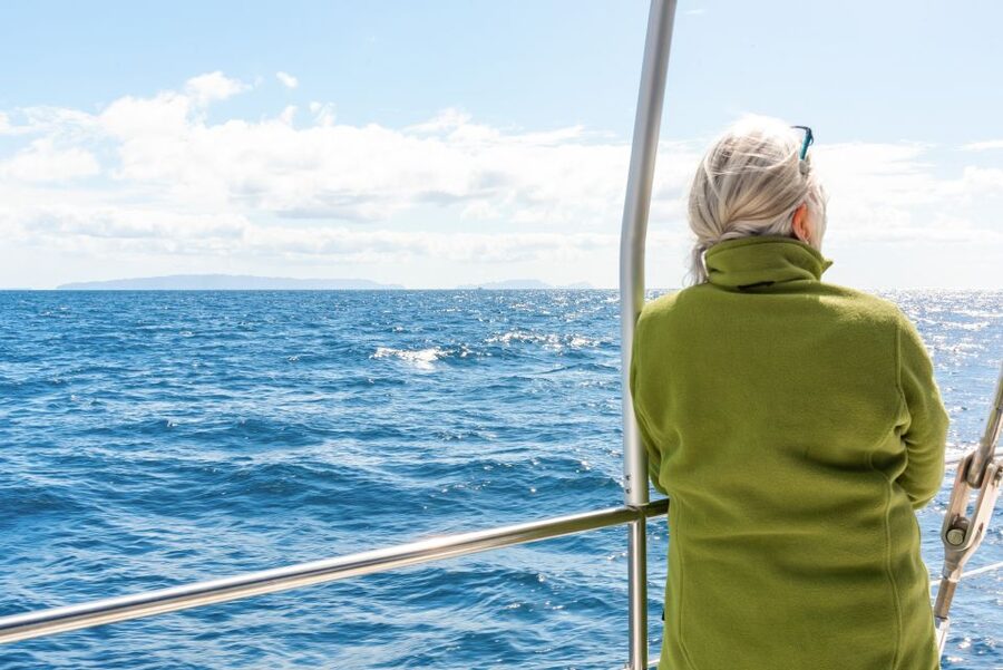 From Funchal: Madeira Dolphin and Whale Watching Tour - Cabo Girão from below, with a summer swim