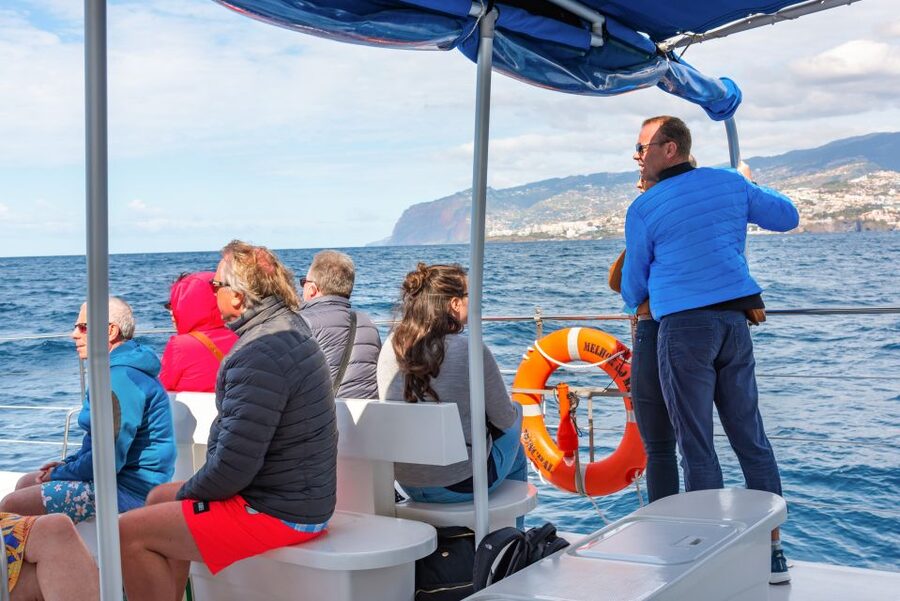 From Funchal: Madeira Dolphin and Whale Watching Tour - Is $47 a fair price for three hours?