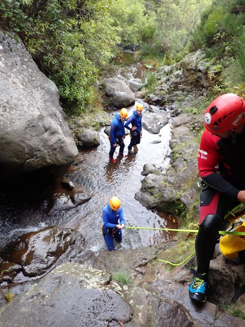 From Funchal: Madeira Island Canyoning for Beginners - Should you book Fast Rope Madeira?