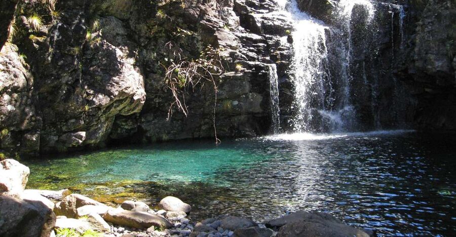 From Funchal: Madeira Lakes Levada Guided Hike - Walking beside Levada do Alecrim
