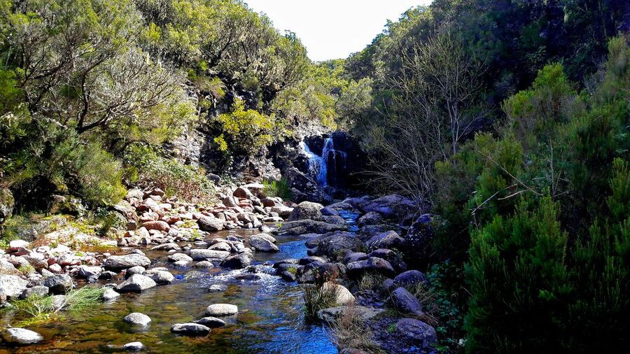 From Funchal: Madeira Lakes Levada Guided Hike - Who should choose this Madeira hike?