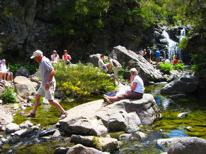 From Funchal: Madeira Lakes Levada Guided Hike - Waterfalls, rock pools, and cool mountain air