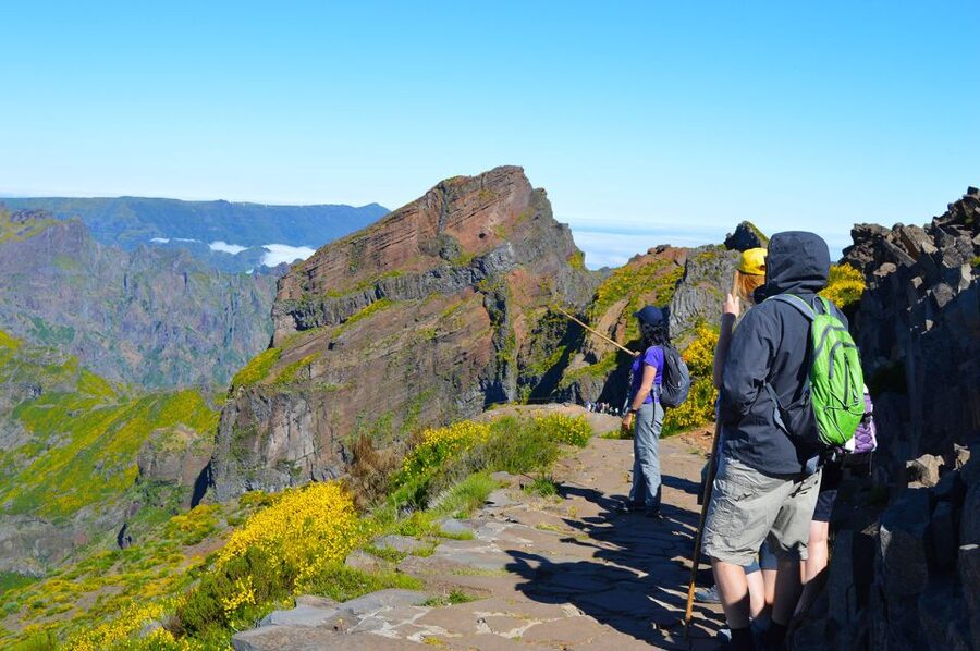 From Funchal: Madeira Peaks Mountain Walk - Key points to know before you book