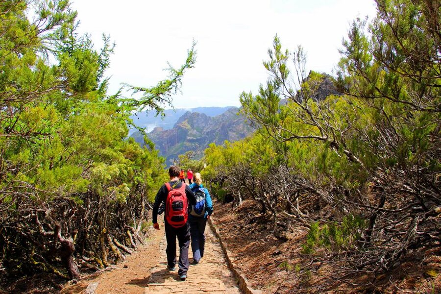 From Funchal: Madeira Peaks Mountain Walk - Reaching Pico Ruivo, Madeira’s highest point