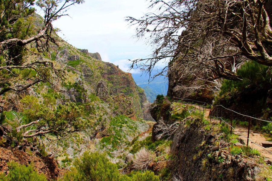 From Funchal: Madeira Peaks Mountain Walk - How difficult is this mountain walk?