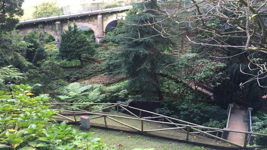 From Funchal: Nuns Valley, Monte and Sleigh Ride Tour - Why the Monte toboggan is the right opening