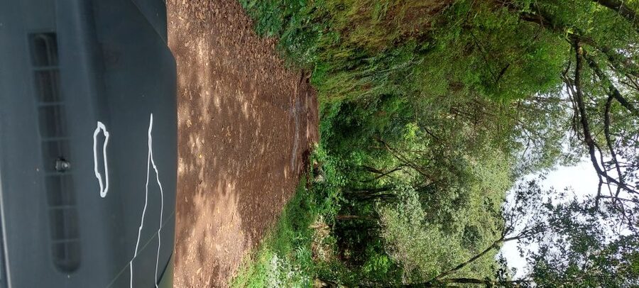 From Funchal: Pico Do Arieiro and Santana Full-Day 4x4 Tour - Descending through Ribeiro Frio and Laurissilva Forest