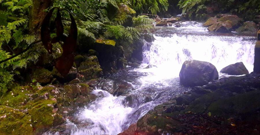From Funchal: São Jorge Valleys Levada Walk - Key points to know before you book