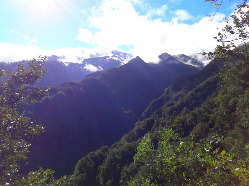From Funchal: São Jorge Valleys Levada Walk - Should you book the Levada do Rei tour?