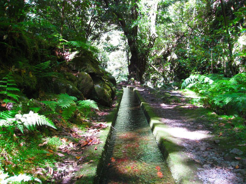 From Funchal: São Jorge Valleys Levada Walk - Passing through the waterfalls to Ribeiro Bonito