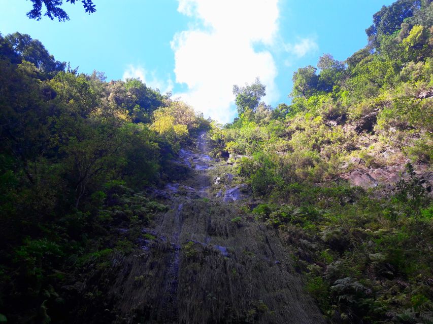 From Funchal: São Jorge Valleys Levada Walk - The return walk, group pace, and photo stops