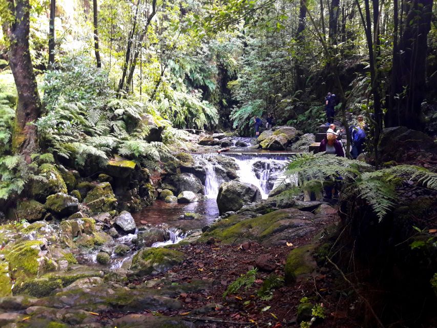 From Funchal: São Jorge Valleys Levada Walk - Pickup details from Funchal, Caniço, and Câmara de Lobos