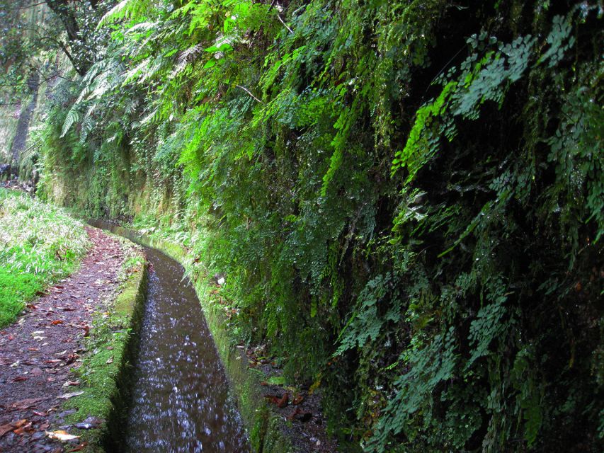 From Funchal: São Jorge Valleys Levada Walk - Shoes, clothing, and what to pack
