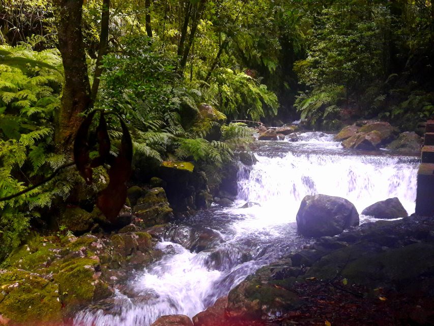 From Funchal: São Jorge Valleys Levada Walk - Who will enjoy this São Jorge walk most