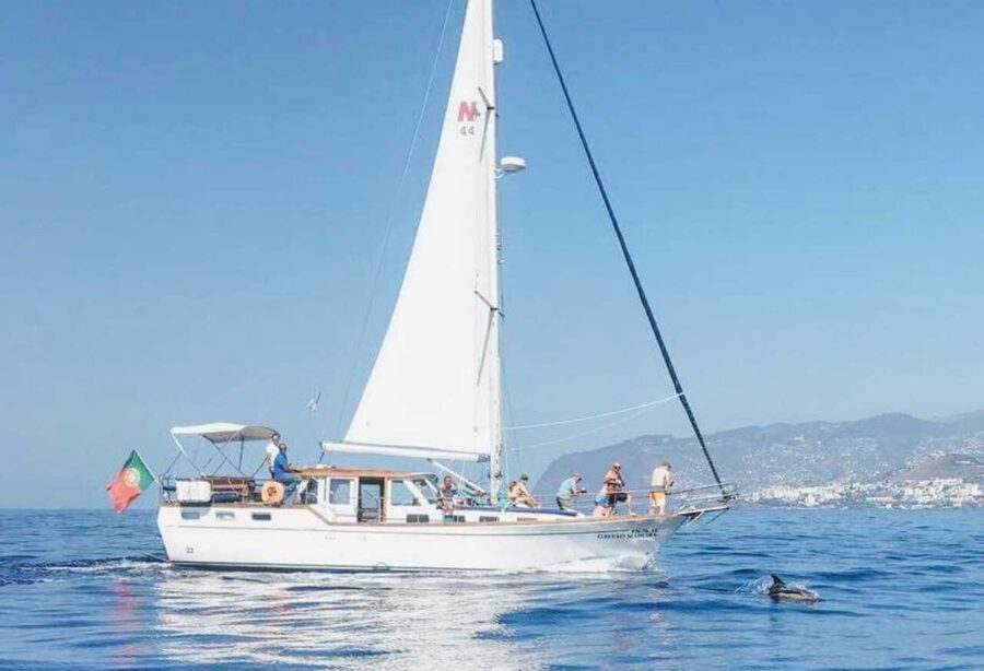 From Funchal: West Bays Sailing Tour with Lunch - Swimming and snorkeling beneath the cliffs