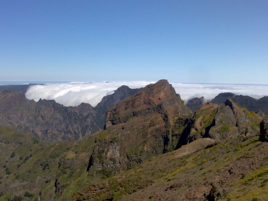 From Funchal: West Madeira Waterfalls and Fanal Forest Tour - Fanal Forest and its ancient laurel trees