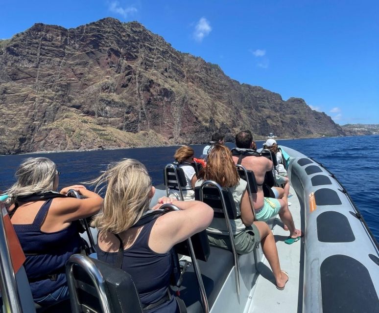 From Funchal: Whale and Dolphin Watching - Setting out from Funchal’s marina