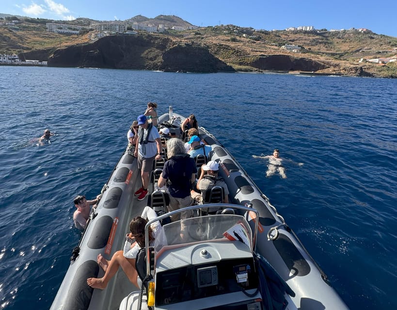 From Funchal: Whale and Dolphin Watching - The wildlife you might see