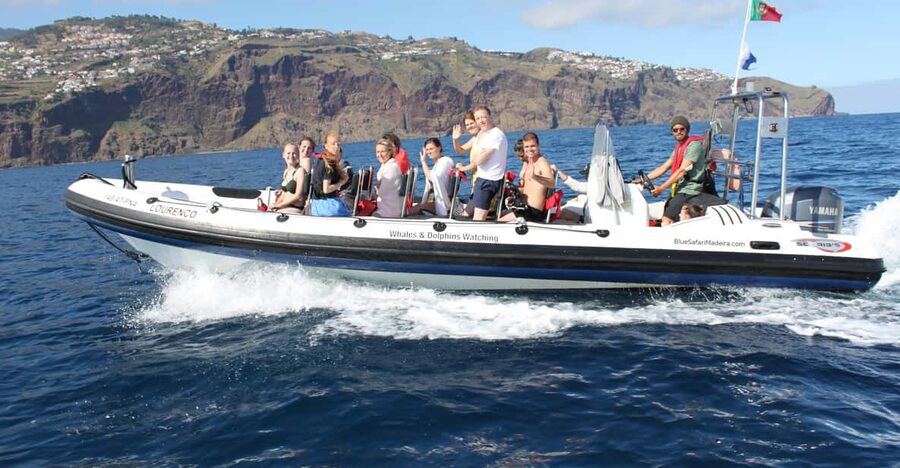 From Funchal: Whales and Dolphin Adventure Tour - Key points at a glance