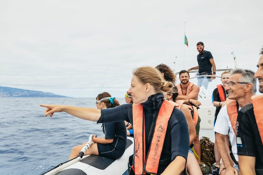 From Funchal: Whales and Dolphin Adventure Tour - How to plan your day around the tour